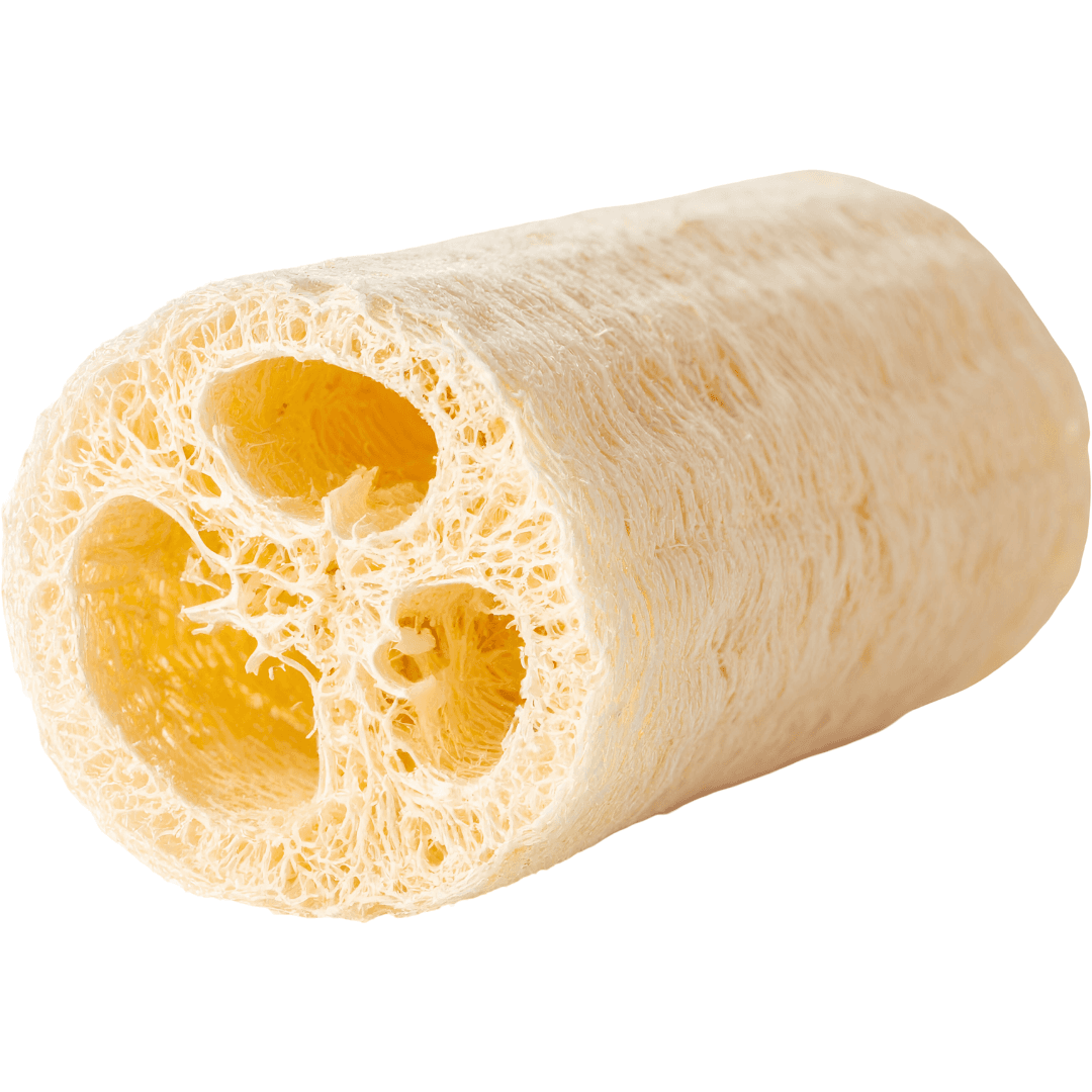 Ecospark luffa hubka veľká 1 ks
