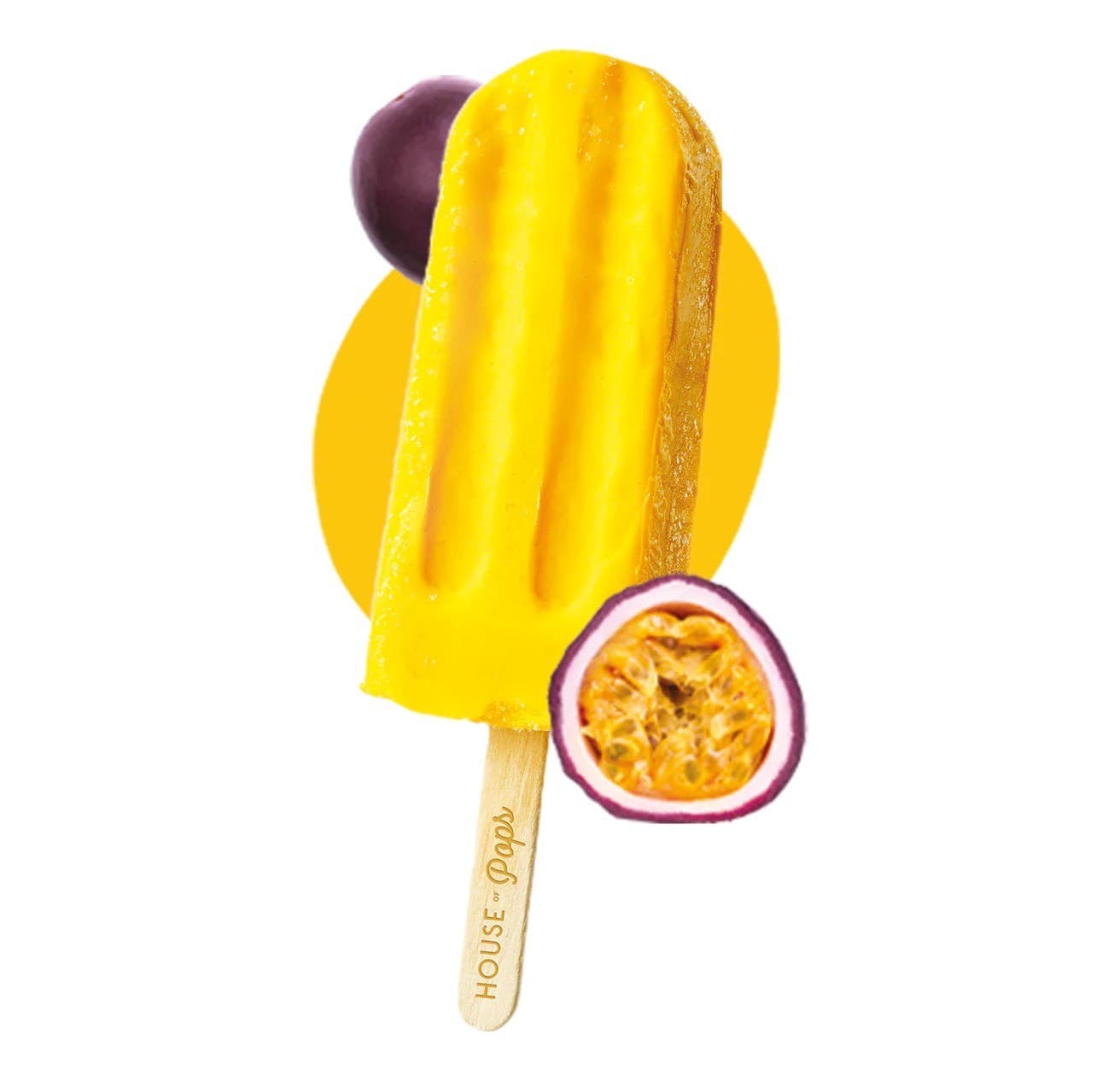 House of pops zmrzlina s príchuťou marakuje 80 ml